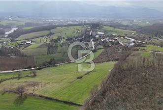 İZMİT BİBEROĞLU MAH.DE 41.109 M² VİLLA PROJESİNE UYGUN PARSEL - 5 - 332730