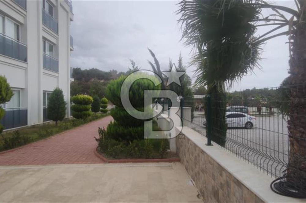 Didim Hisar da Kiralık 1+1 Daire