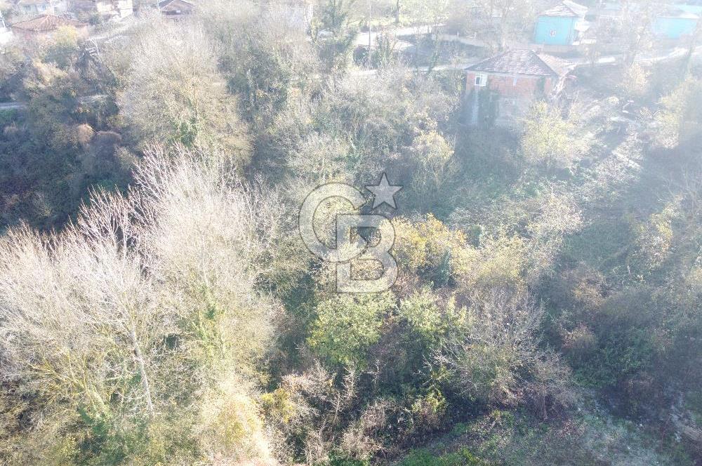 Çıraklı Köyünde, Köy İçi İmarlı Satılık 423 m² Müstakil Parsel