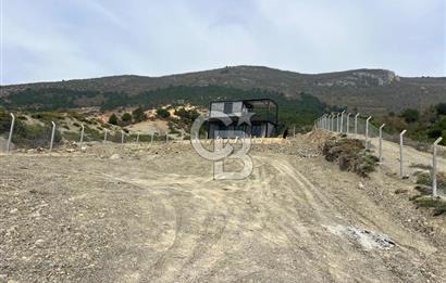 Geyve Akdoğan Mah. de İçinde Konteyner Olan Satılık Parsel