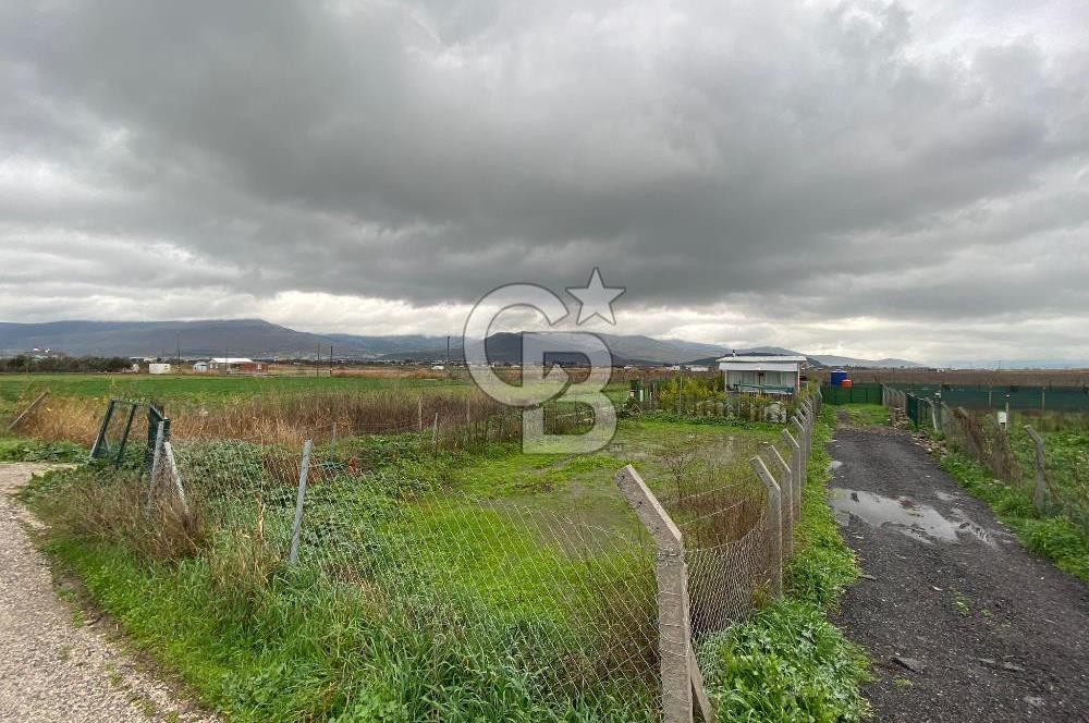 Menemen Türkelli Yıldırım Mah. Satılık Tarla