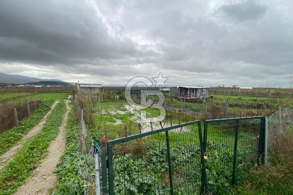 Menemen Türkelli Yıldırım Mah. Satılık Tarla