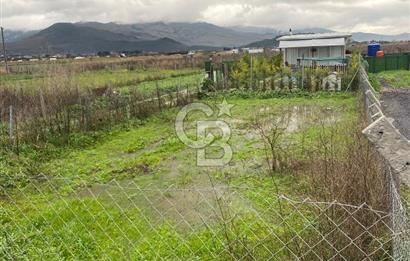 Menemen Türkelli Yıldırım Mah. Satılık Tarla