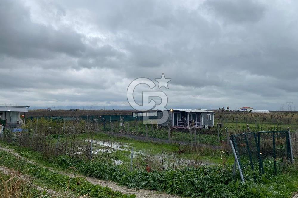 Menemen Türkelli Yıldırım Mah. Satılık Tarla