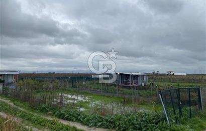 Menemen Türkelli Yıldırım Mah. Satılık Tarla