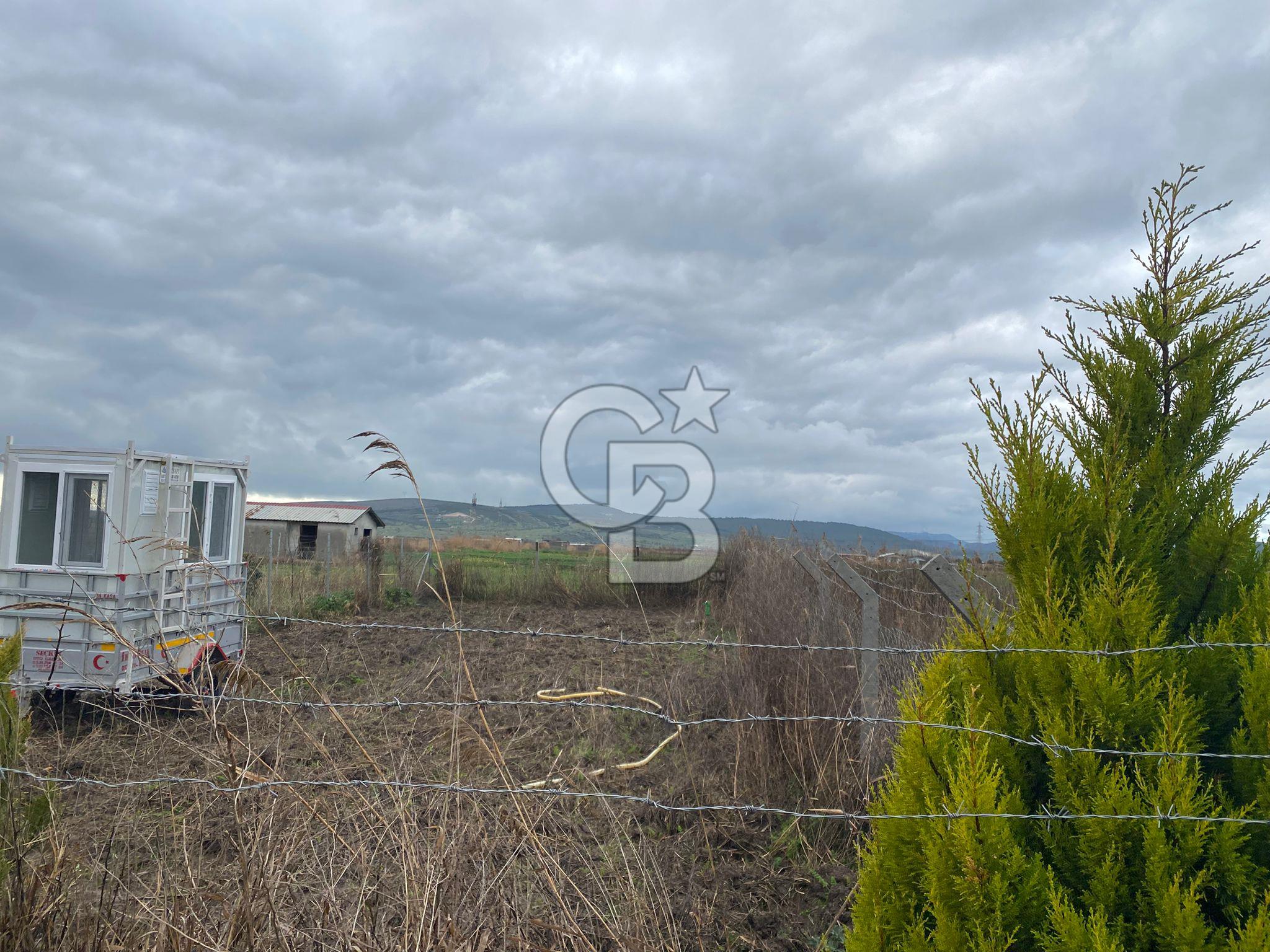 Menemen Türkelli Yıldırım Mah. Satılık Tarla