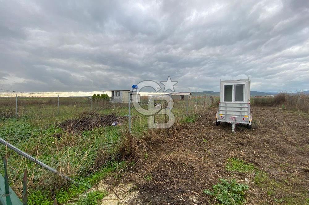 Menemen Türkelli Yıldırım Mah. Satılık Tarla