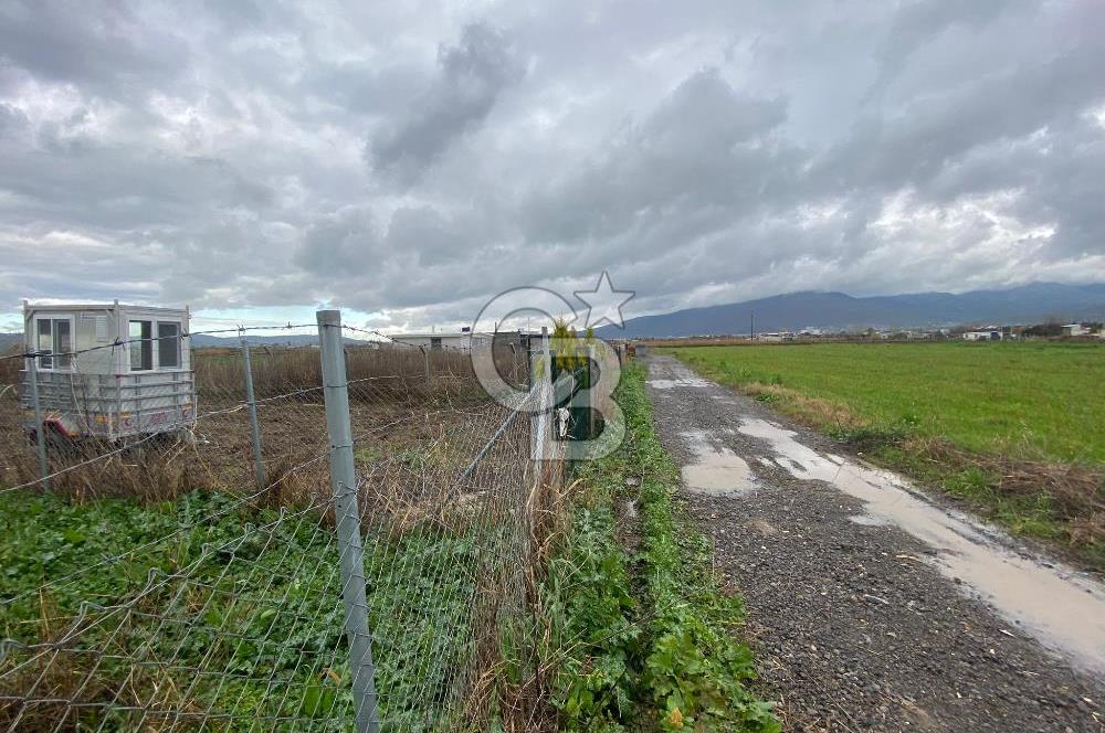 Menemen Türkelli Yıldırım Mah. Satılık Tarla