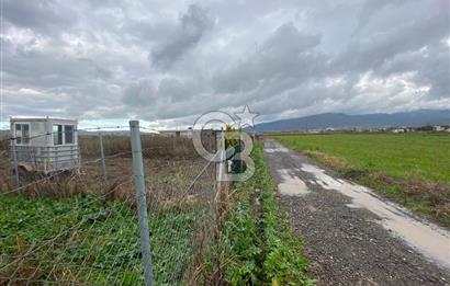 Menemen Türkelli Yıldırım Mah. Satılık Tarla