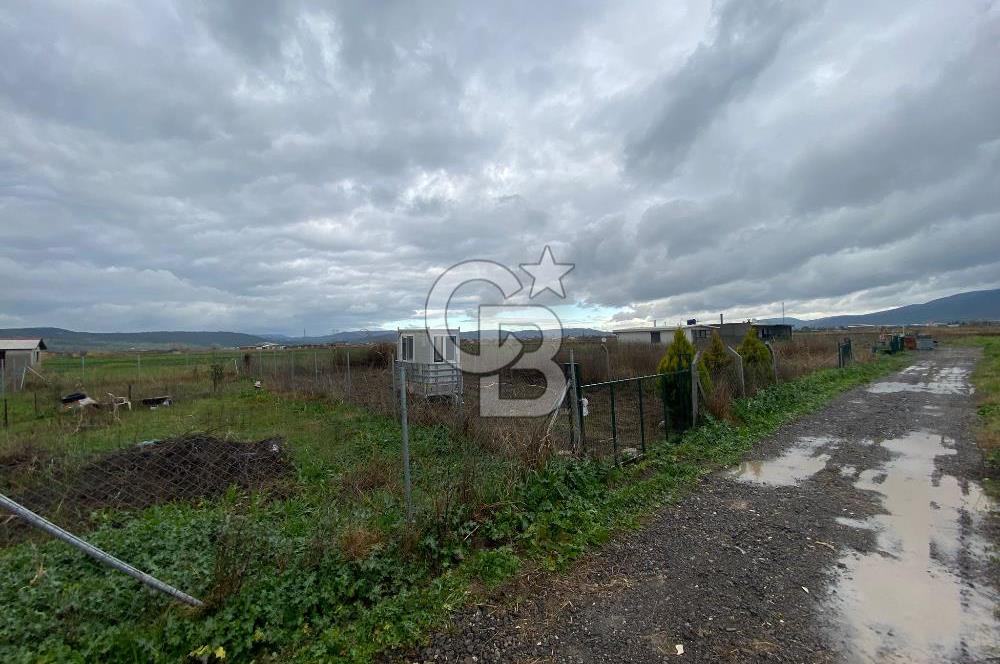 Menemen Türkelli Yıldırım Mah. Satılık Tarla