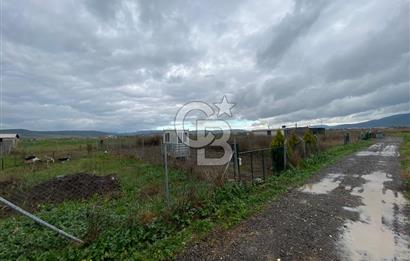 Menemen Türkelli Yıldırım Mah. Satılık Tarla