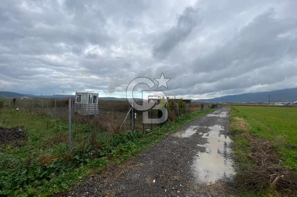 Menemen Türkelli Yıldırım Mah. Satılık Tarla