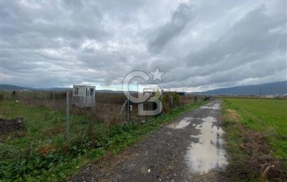 Menemen Türkelli Yıldırım Mah. Satılık Tarla