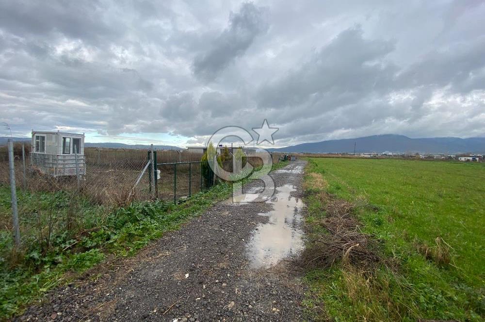 Menemen Türkelli Yıldırım Mah. Satılık Tarla