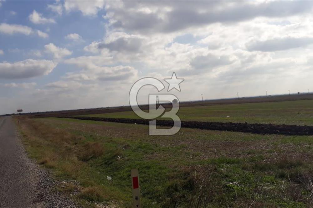 Tekirdağ Saray Beyazköy'de Satılık Tarla