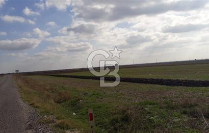 Tekirdağ Saray Beyazköy'de Satılık Tarla