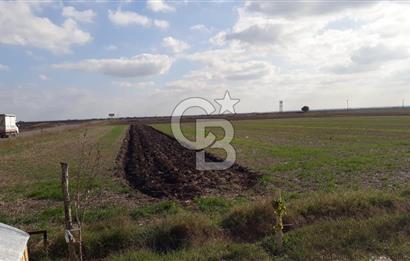 Tekirdağ Saray Beyazköy'de Satılık Tarla