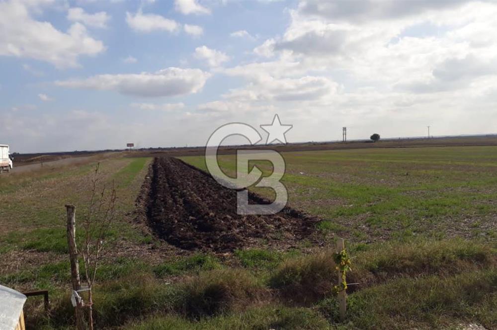 Tekirdağ Saray Beyazköy'de Satılık Tarla