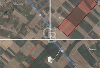 Tekirdağ Saray Beyazköy'de Satılık Tarla - 4 - 332723