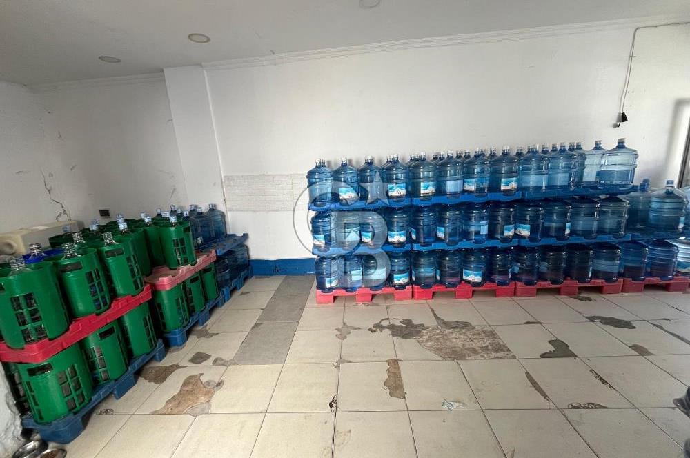 BODRUM KONACIKTA DEVREN KİRALIK SU BAYİSİ