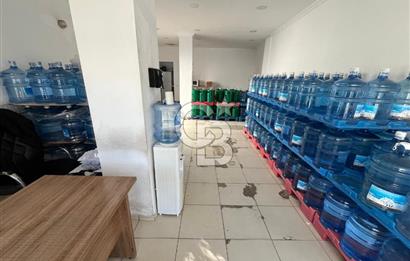 BODRUM KONACIKTA DEVREN KİRALIK SU BAYİSİ