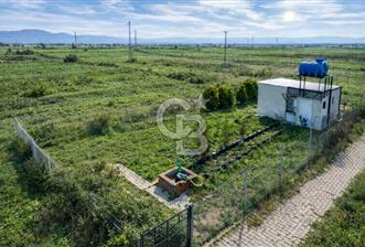 Menemen Türkelli Yıldırım Mah. Satılık Tarla - 1 - 332720