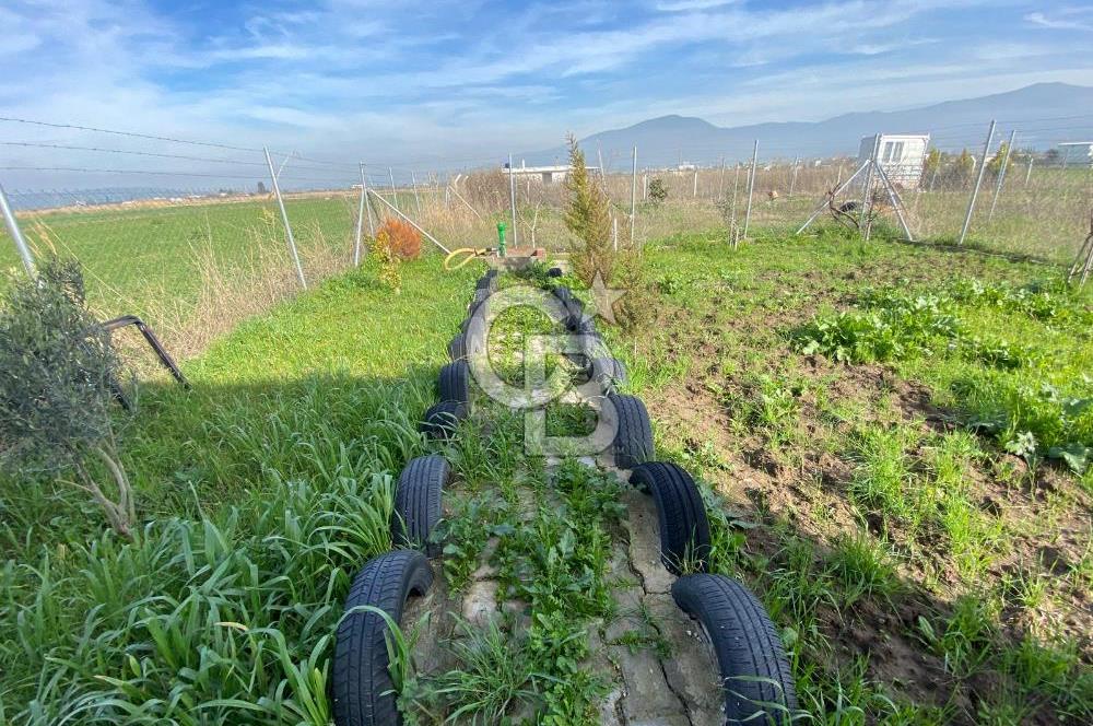 Menemen Türkelli Yıldırım Mah. Satılık Tarla