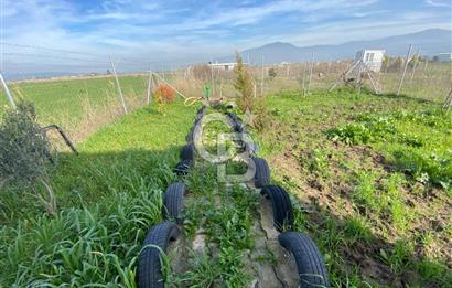 Menemen Türkelli Yıldırım Mah. Satılık Tarla