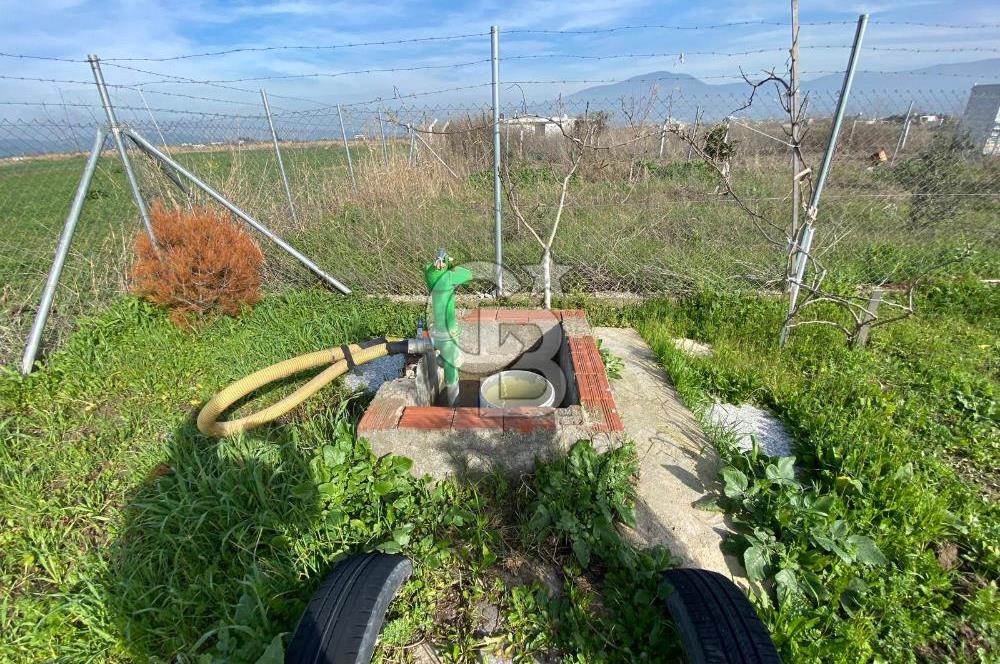 Menemen Türkelli Yıldırım Mah. Satılık Tarla