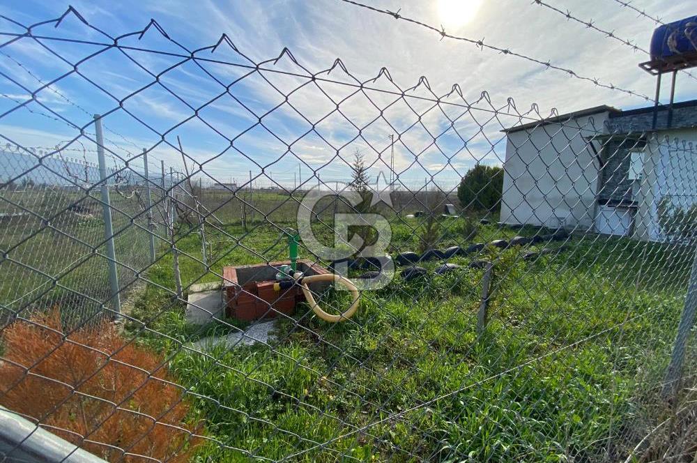 Menemen Türkelli Yıldırım Mah. Satılık Tarla