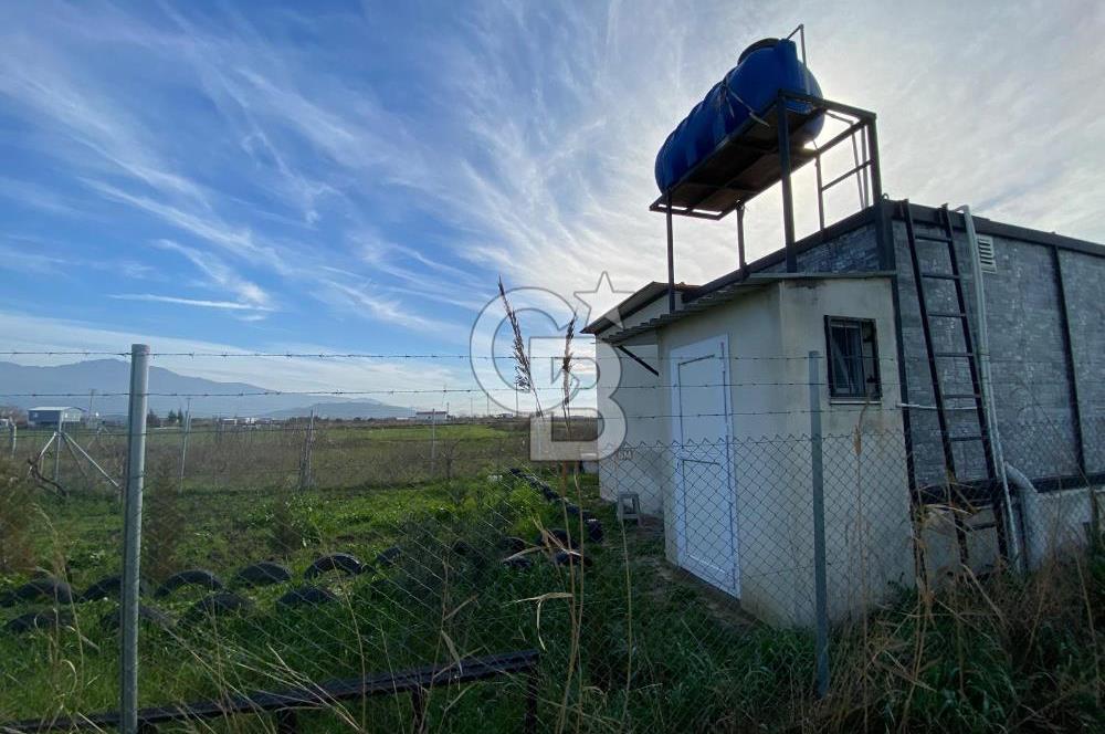 Menemen Türkelli Yıldırım Mah. Satılık Tarla