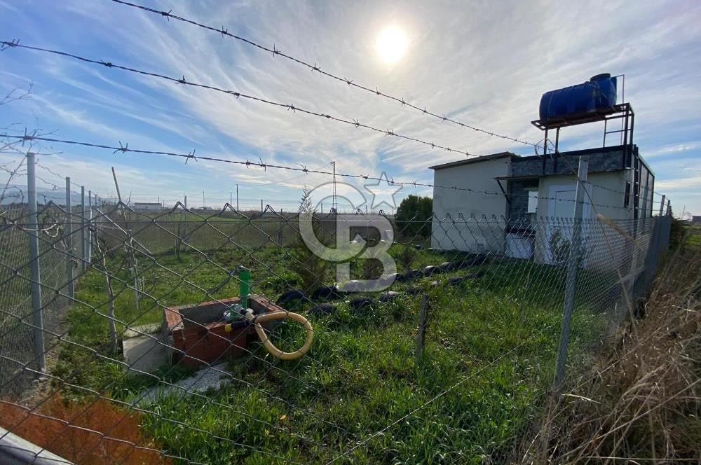 Menemen Türkelli Yıldırım Mah. Satılık Tarla