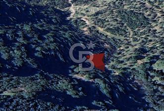 KARŞIYAKA YAMANLAR SATILIK ZEYTİNLİK - 2 - 334424