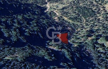 KARŞIYAKA YAMANLAR SATILIK ZEYTİNLİK