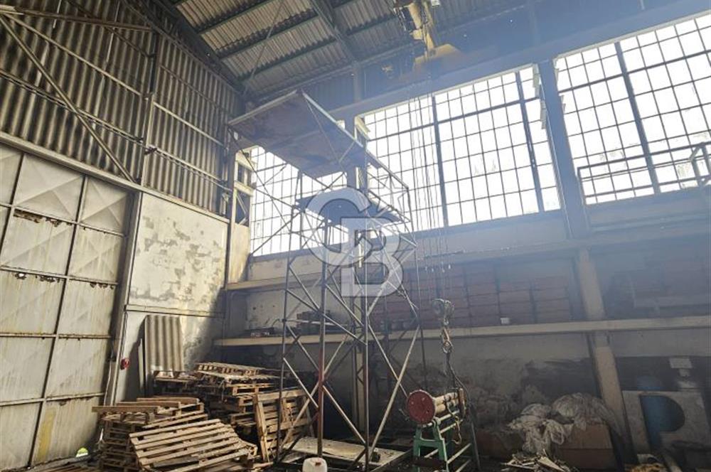 E-5 CEPHELİ | LOJİSTİĞE UYGUN | KİRALIK FABRİKA / DEPO