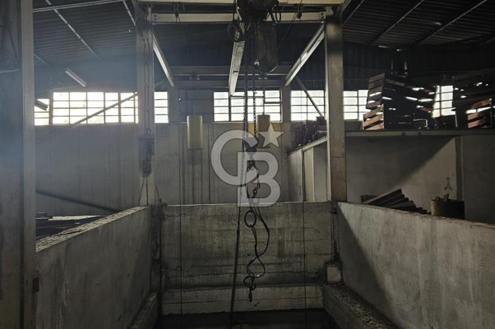 E-5 CEPHELİ | LOJİSTİĞE UYGUN | KİRALIK FABRİKA / DEPO