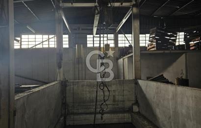 E-5 CEPHELİ | LOJİSTİĞE UYGUN | KİRALIK FABRİKA / DEPO