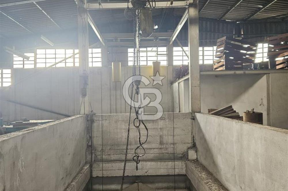 E-5 CEPHELİ | LOJİSTİĞE UYGUN | KİRALIK FABRİKA / DEPO