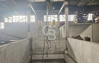 E-5 CEPHELİ | LOJİSTİĞE UYGUN | KİRALIK FABRİKA / DEPO