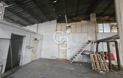 E-5 CEPHELİ | LOJİSTİĞE UYGUN | KİRALIK FABRİKA / DEPO