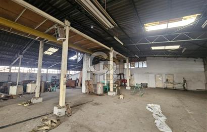 E-5 CEPHELİ | LOJİSTİĞE UYGUN | KİRALIK FABRİKA / DEPO