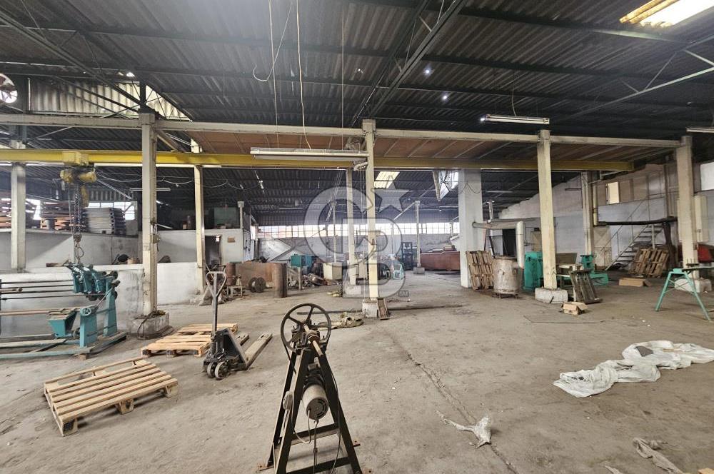 E-5 CEPHELİ | LOJİSTİĞE UYGUN | KİRALIK FABRİKA / DEPO