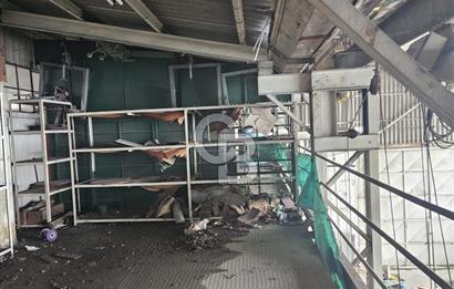 E-5 CEPHELİ | LOJİSTİĞE UYGUN | KİRALIK FABRİKA / DEPO