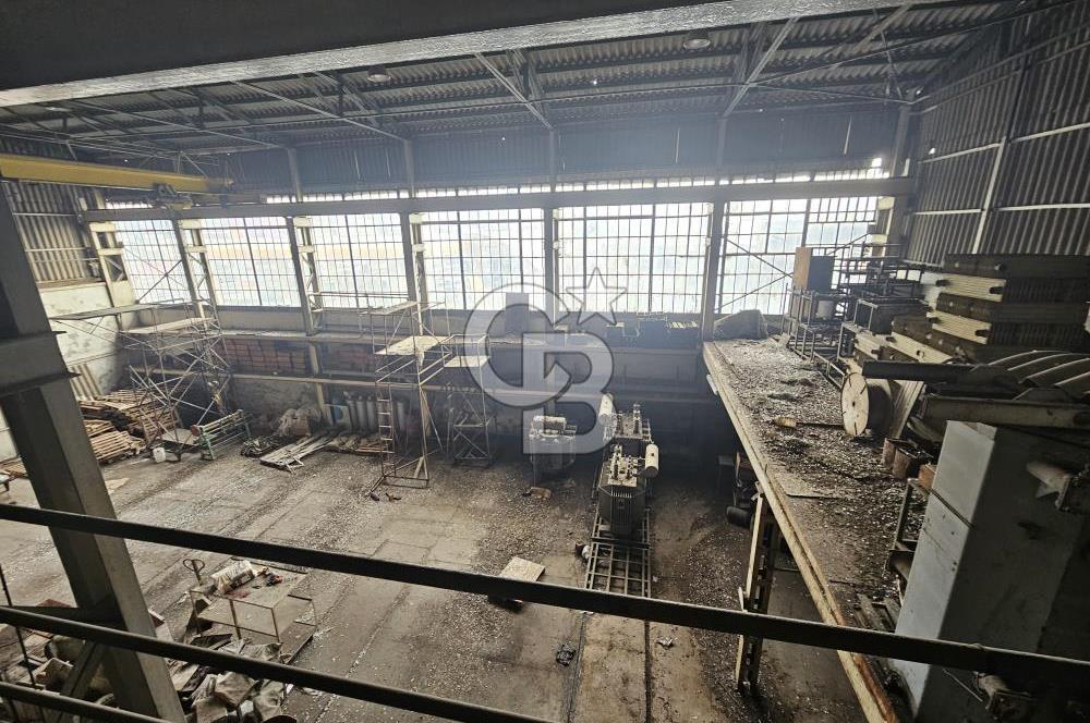 E-5 CEPHELİ | LOJİSTİĞE UYGUN | KİRALIK FABRİKA / DEPO