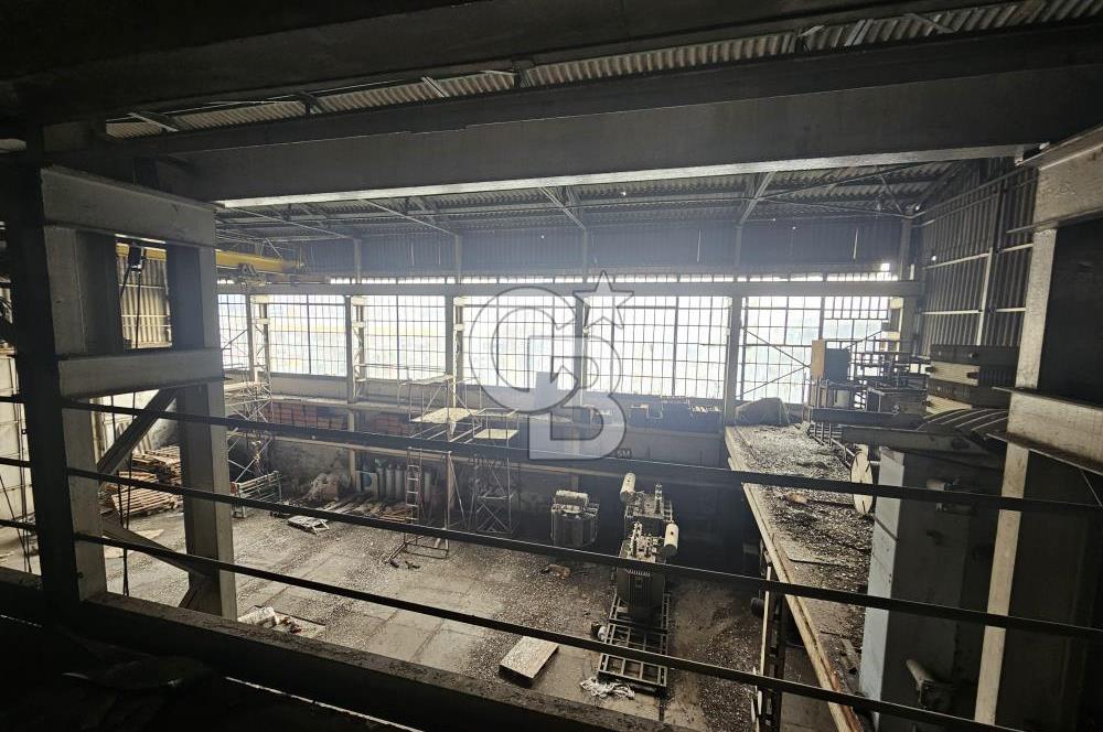 E-5 CEPHELİ | LOJİSTİĞE UYGUN | KİRALIK FABRİKA / DEPO