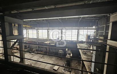 E-5 CEPHELİ | LOJİSTİĞE UYGUN | KİRALIK FABRİKA / DEPO