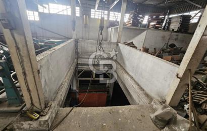 E-5 CEPHELİ | LOJİSTİĞE UYGUN | KİRALIK FABRİKA / DEPO