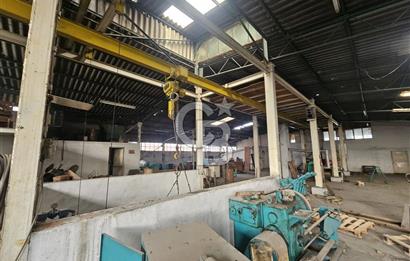 E-5 CEPHELİ | LOJİSTİĞE UYGUN | KİRALIK FABRİKA / DEPO