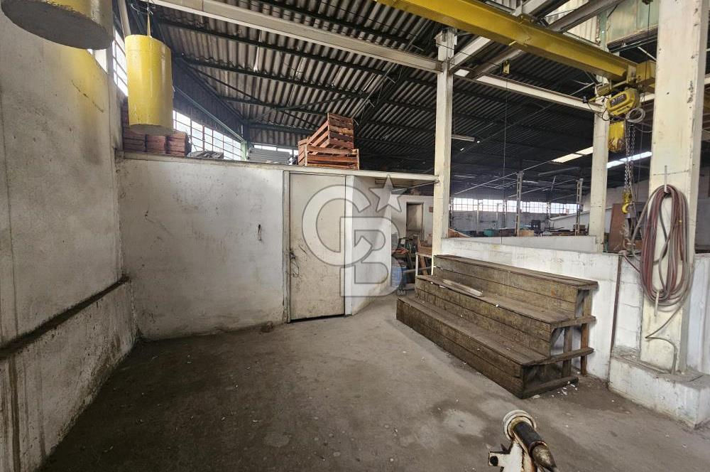 E-5 CEPHELİ | LOJİSTİĞE UYGUN | KİRALIK FABRİKA / DEPO