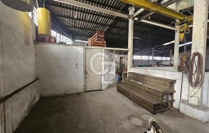 E-5 CEPHELİ | LOJİSTİĞE UYGUN | KİRALIK FABRİKA / DEPO